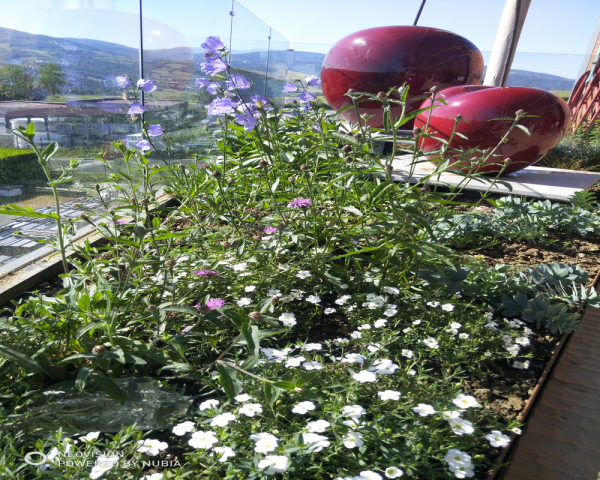 Création de jardin à Saint-Genis-l'Argentière